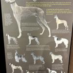 2023OTRA_424 (May 04, 2023)